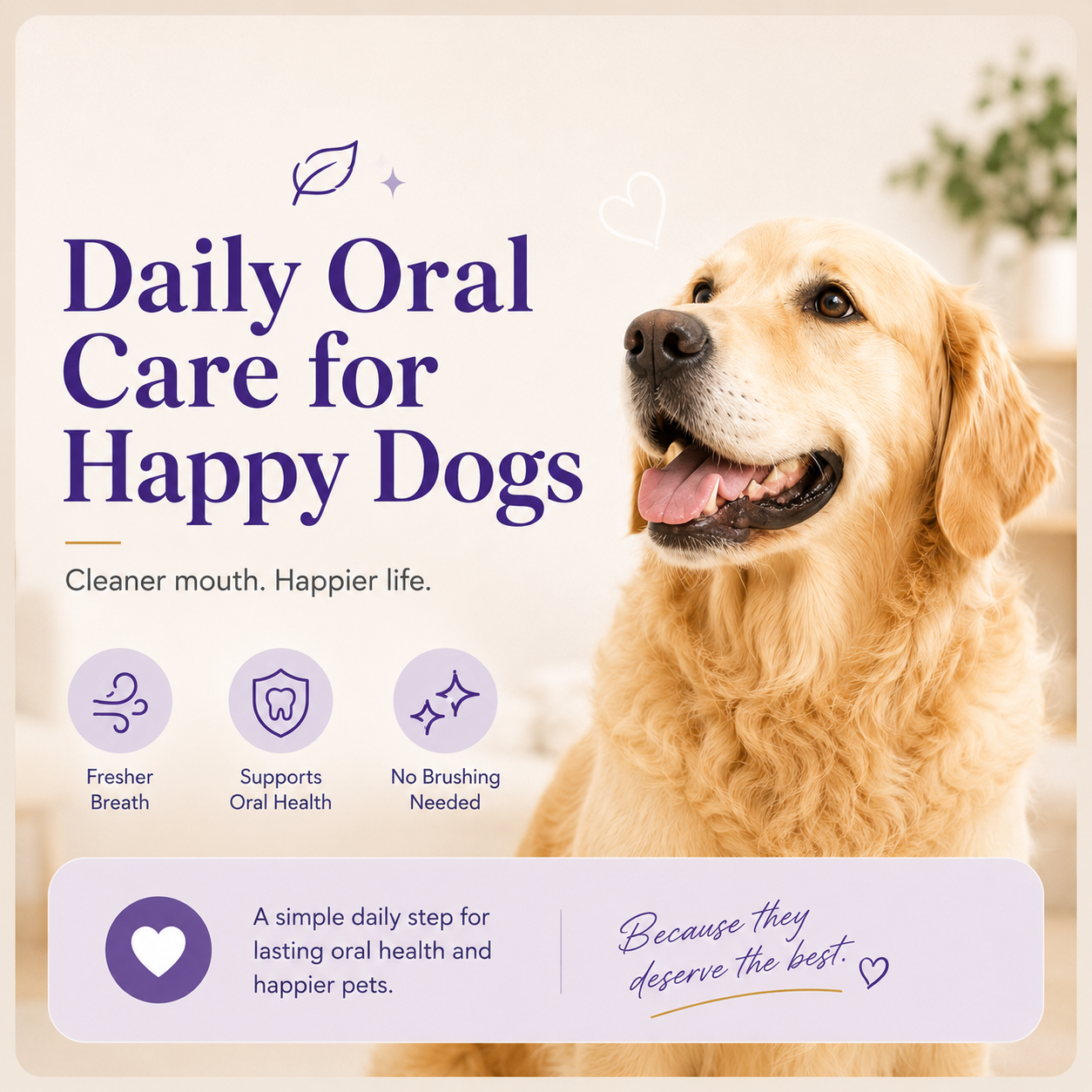 BBOJI™🍃No-Brushing Oral Care Spray for Dogs & Cats Big Sale